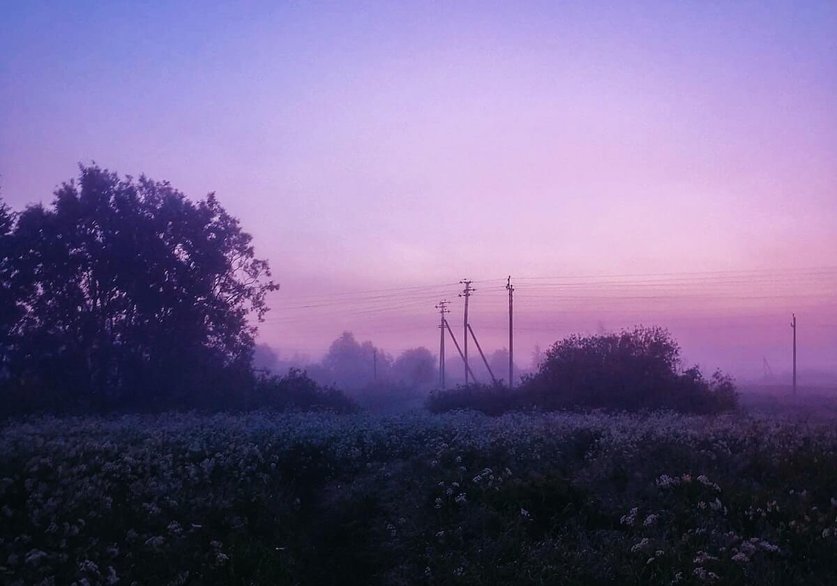一竞技网站-bob半岛体育平台:让每一次跳动都被看见